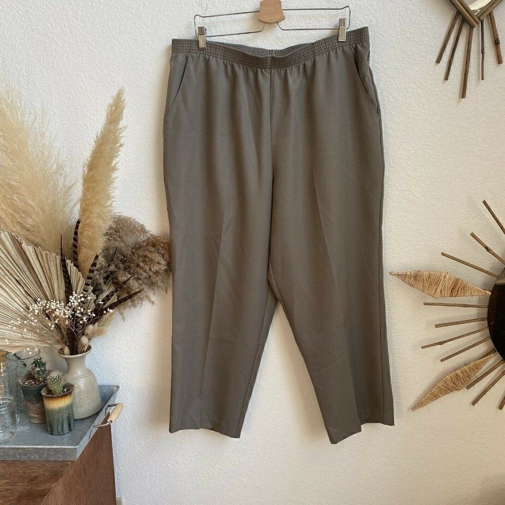 Briggs New York Women's Plus Size Size 18w Pull On elastic Waist Pants